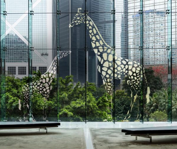 MACal Glass Decor 798-02<br/><span style="font-size: 16px;">Signage & marking films</span>